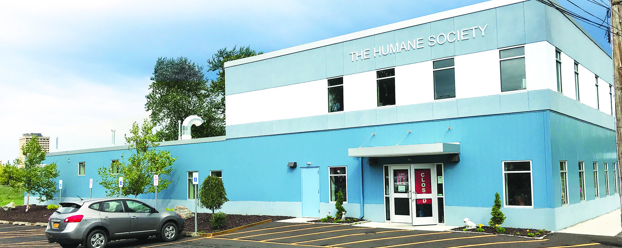 Broome County Humane Society animal shelter