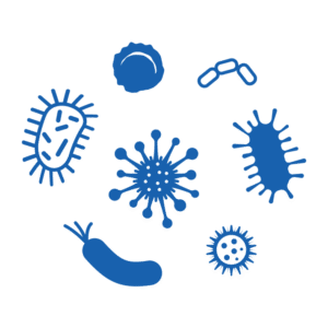 Ventilation with outdoor air is vital to diluting airborne contaminants and decreasing disease transmission rates.
