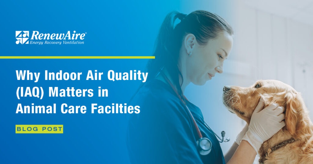 Veterinary technician examining a dog in a clean, well-ventilated clinic environment with high indoor air quality.