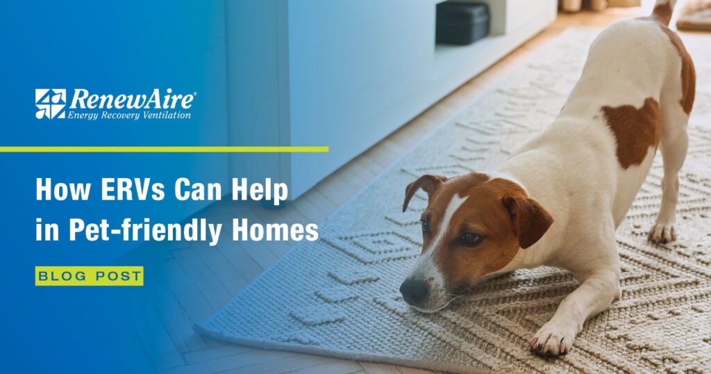 Happy dog resting in a clean home with improved pet dander and air quality from a RenewAire ERV.