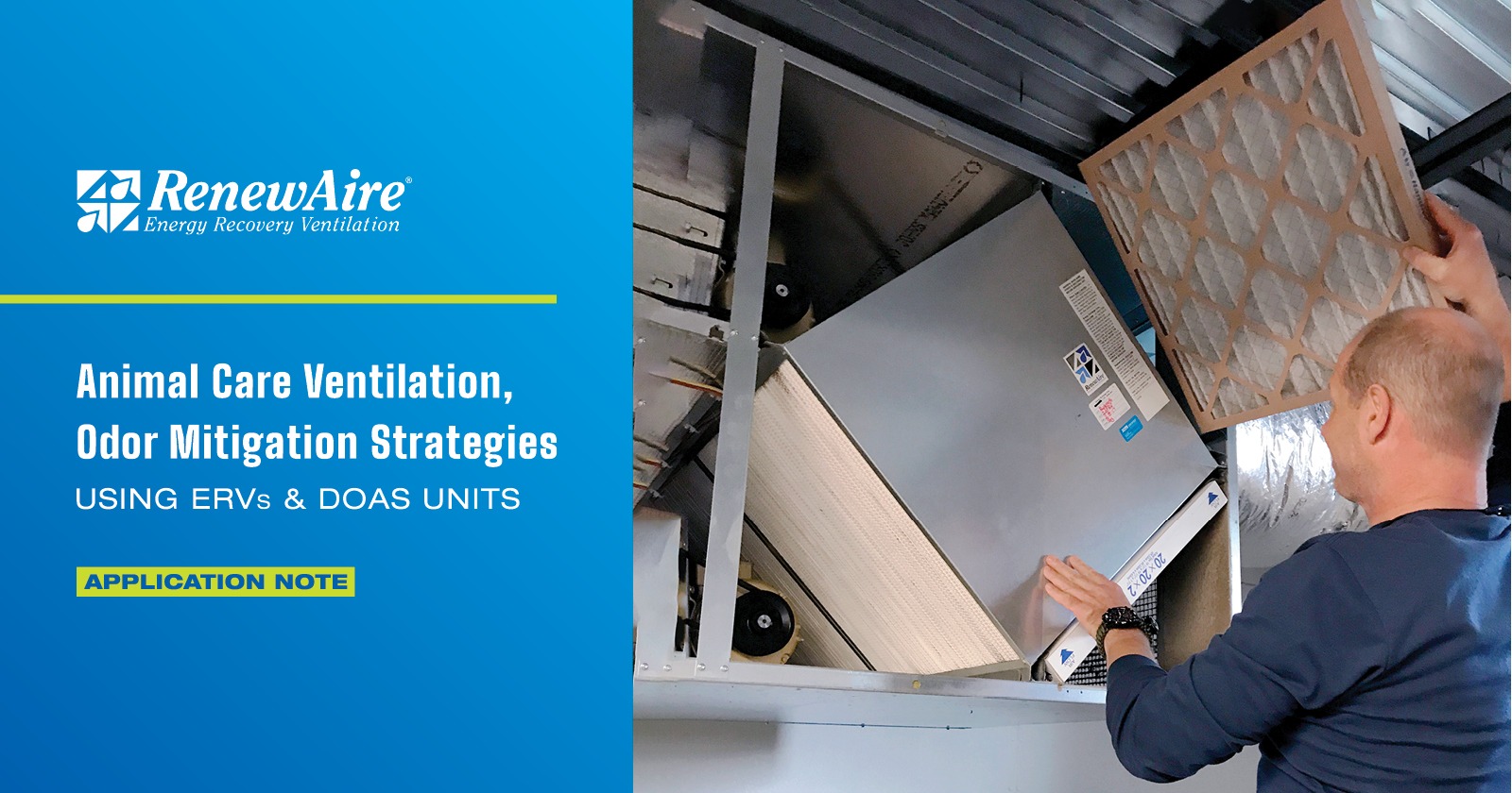 RenewAire application note that addresses animal odors, urine smells, and IAQ concerns in veterinary clinics, shelters, and kennels. Discusses how ERVs can with meeting AVMA recommendations.